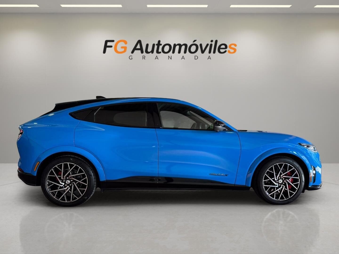 FORD Mustang MACH-E GT AWD · 358 kW (487 CV)