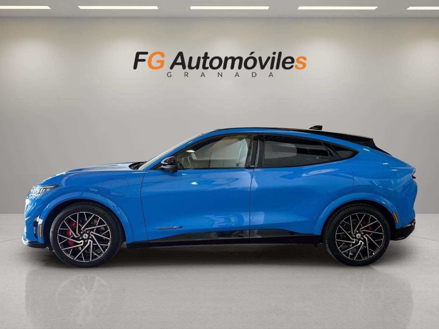 FORD Mustang MACH-E GT AWD · 358 kW (487 CV)